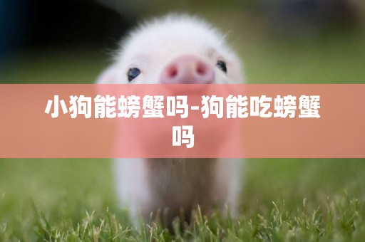 小狗能螃蟹嗎-狗能吃螃蟹嗎