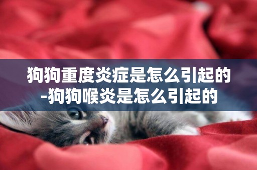 狗狗重度炎癥是怎么引起的-狗狗喉炎是怎么引起的