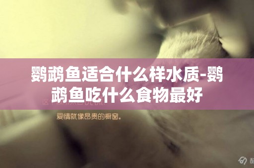 鸚鵡魚適合什么樣水質-鸚鵡魚吃什么食物最好