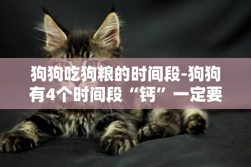 狗狗吃狗糧的時間段-狗狗有4個時間段“鈣”一定要足