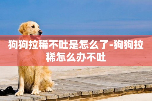 狗狗拉稀不吐是怎么了-狗狗拉稀怎么辦不吐