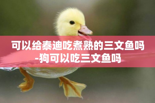可以給泰迪吃煮熟的三文魚嗎-狗可以吃三文魚嗎