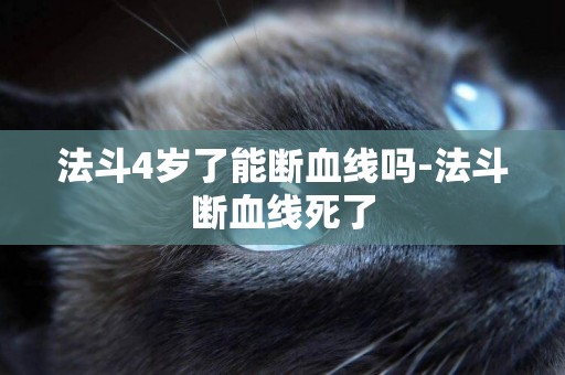法斗4歲了能斷血線嗎-法斗斷血線死了