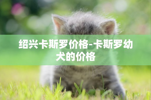 紹興卡斯羅價格-卡斯羅幼犬的價格