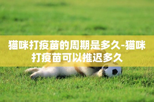 貓咪打疫苗的周期是多久-貓咪打疫苗可以推遲多久