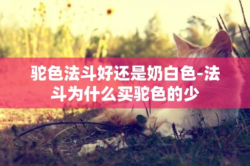 駝色法斗好還是奶白色-法斗為什么買駝色的少
