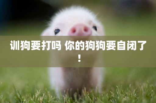 訓狗要打嗎 你的狗狗要自閉了！