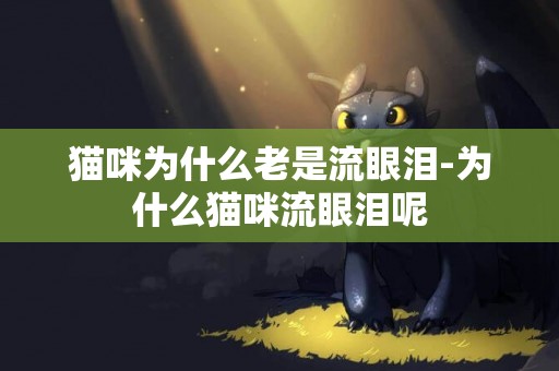 貓咪為什么老是流眼淚-為什么貓咪流眼淚呢