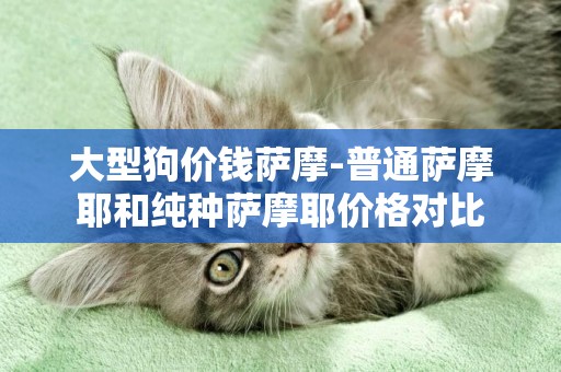 大型狗價錢薩摩-普通薩摩耶和純種薩摩耶價格對比