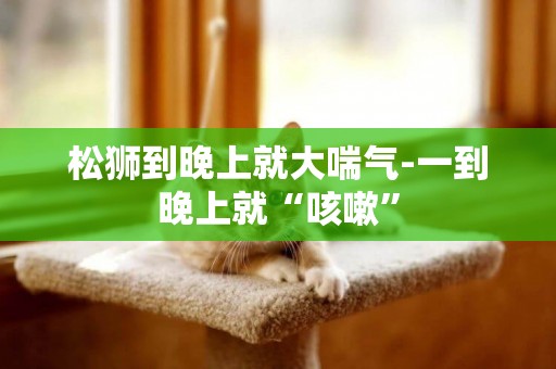 松獅到晚上就大喘氣-一到晚上就“咳嗽”
