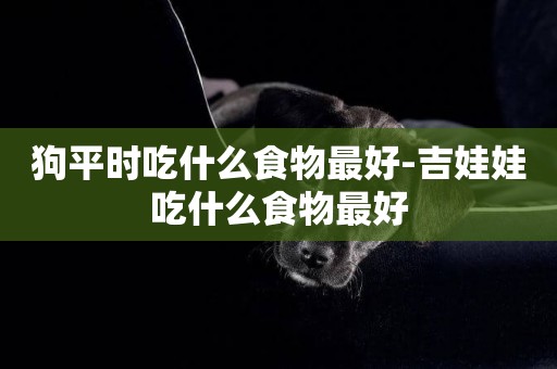 狗平時吃什么食物最好-吉娃娃吃什么食物最好