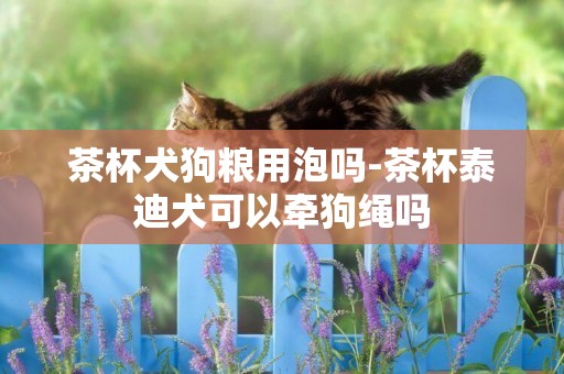 茶杯犬狗糧用泡嗎-茶杯泰迪犬可以牽狗繩嗎