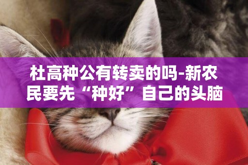 杜高種公有轉賣的嗎-新農民要先“種好”自己的頭腦