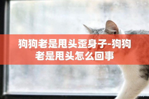 狗狗老是甩頭歪身子-狗狗老是甩頭怎么回事