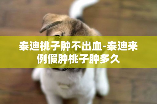 泰迪桃子腫不出血-泰迪來例假腫桃子腫多久