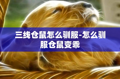 三線倉鼠怎么馴服-怎么馴服倉鼠變乖