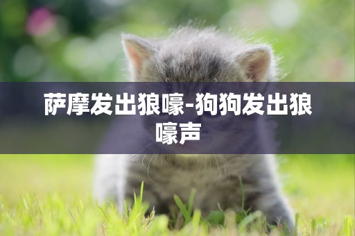 薩摩發出狼嚎-狗狗發出狼嚎聲