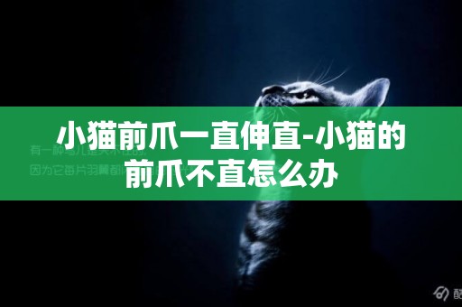小貓前爪一直伸直-小貓的前爪不直怎么辦