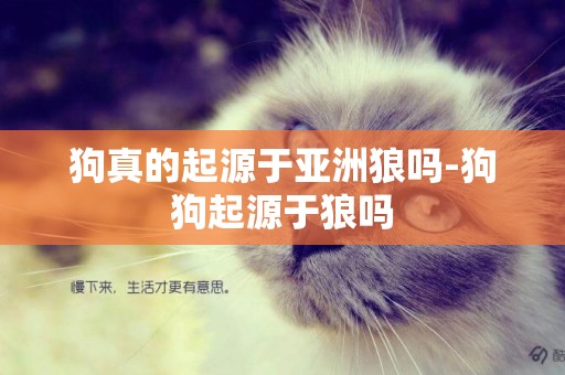 狗真的起源于亞洲狼嗎-狗狗起源于狼嗎