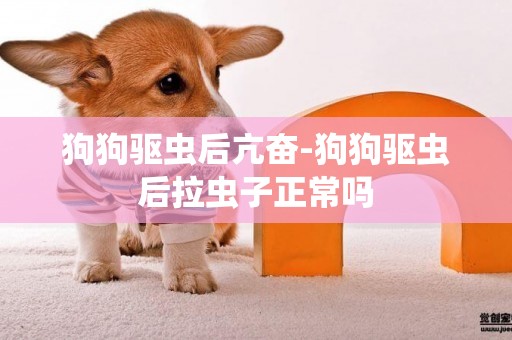狗狗驅蟲后亢奮-狗狗驅蟲后拉蟲子正常嗎