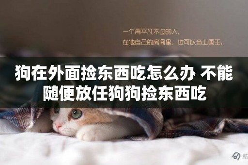 狗在外面撿東西吃怎么辦 不能隨便放任狗狗撿東西吃