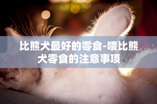 比熊犬最好的零食-喂比熊犬零食的注意事項