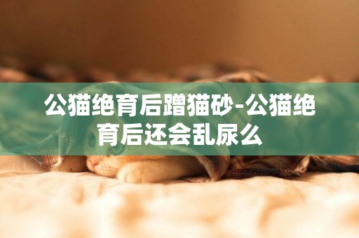公貓絕育后蹭貓砂-公貓絕育后還會亂尿么