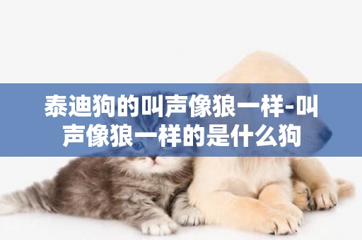 泰迪狗的叫聲像狼一樣-叫聲像狼一樣的是什么狗