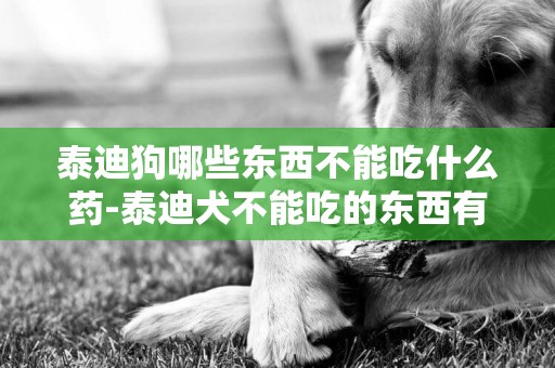 泰迪狗哪些東西不能吃什么藥-泰迪犬不能吃的東西有哪些