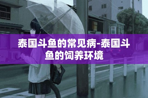 泰國斗魚的常見病-泰國斗魚的飼養環境