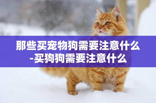那些買寵物狗需要注意什么-買狗狗需要注意什么