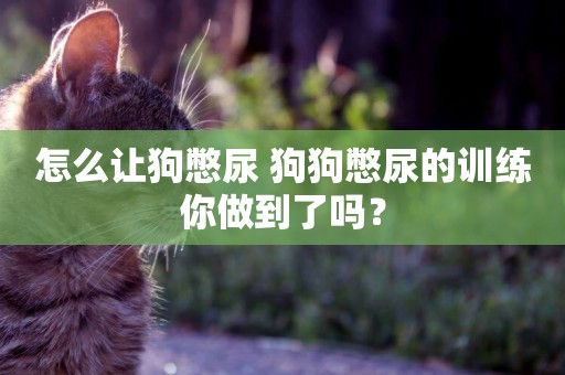 怎么讓狗憋尿 狗狗憋尿的訓練你做到了嗎？
