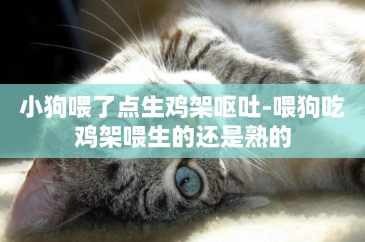 小狗喂了點生雞架嘔吐-喂狗吃雞架喂生的還是熟的