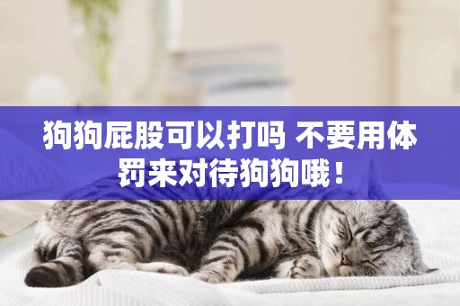 狗狗屁股可以打嗎 不要用體罰來對待狗狗哦！