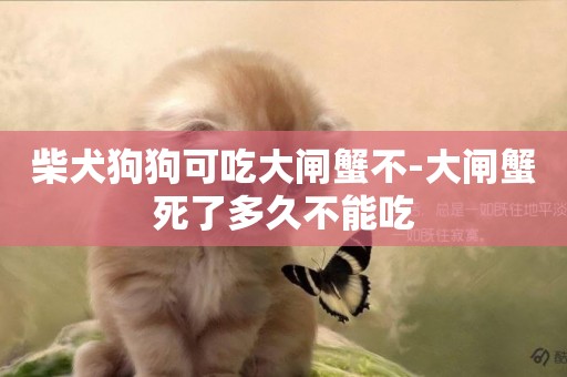柴犬狗狗可吃大閘蟹不-大閘蟹死了多久不能吃