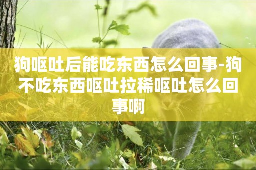狗嘔吐后能吃東西怎么回事-狗不吃東西嘔吐拉稀嘔吐怎么回事啊