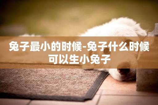 兔子最小的時候-兔子什么時候可以生小兔子
