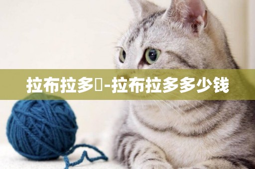 拉布拉多網-拉布拉多多少錢
