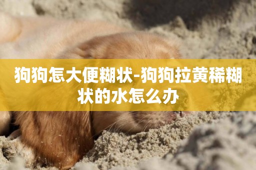 狗狗怎大便糊狀-狗狗拉黃稀糊狀的水怎么辦