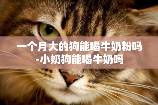 一個月大的狗能喝牛奶粉嗎-小奶狗能喝牛奶嗎
