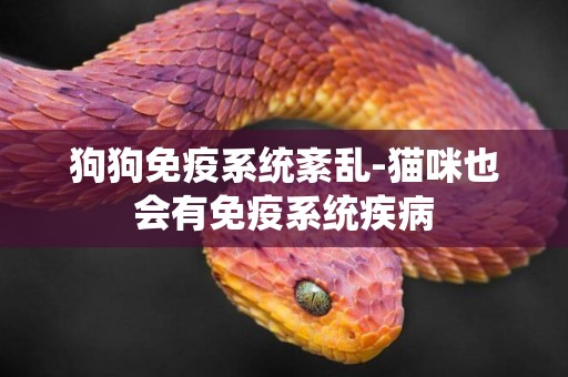 狗狗免疫系統紊亂-貓咪也會有免疫系統疾病
