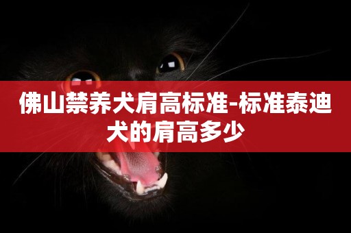 佛山禁養犬肩高標準-標準泰迪犬的肩高多少