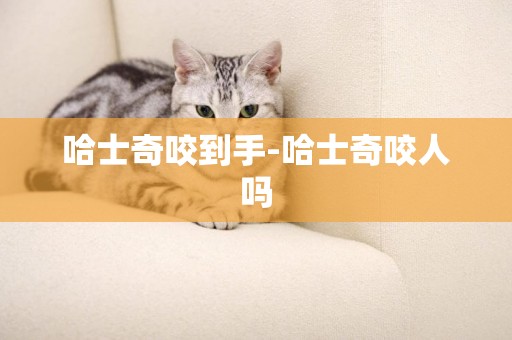 哈士奇咬到手-哈士奇咬人嗎