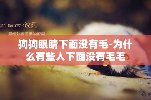 狗狗眼睛下面沒有毛-為什么有些人下面沒有毛毛