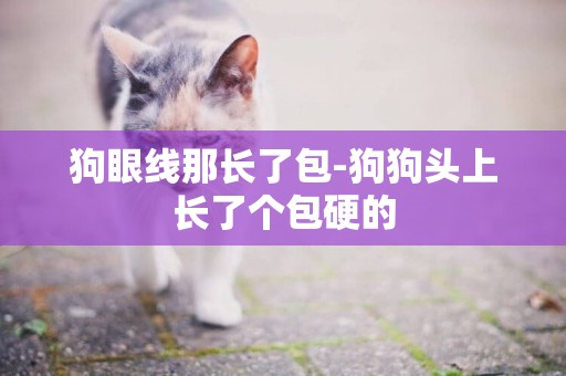 狗眼線那長了包-狗狗頭上長了個包硬的