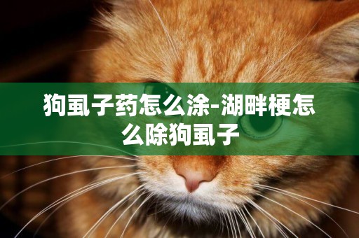 狗虱子藥怎么涂-湖畔梗怎么除狗虱子