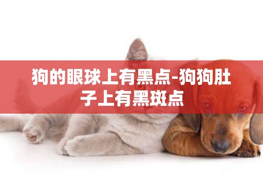 狗的眼球上有黑點-狗狗肚子上有黑斑點
