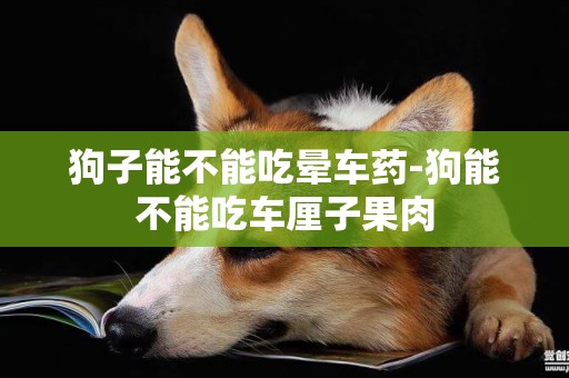 狗子能不能吃暈車藥-狗能不能吃車厘子果肉