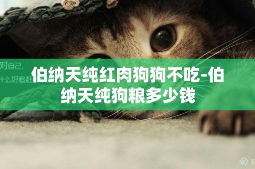伯納天純紅肉狗狗不吃-伯納天純狗糧多少錢