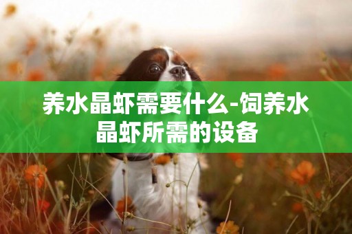 養水晶蝦需要什么-飼養水晶蝦所需的設備